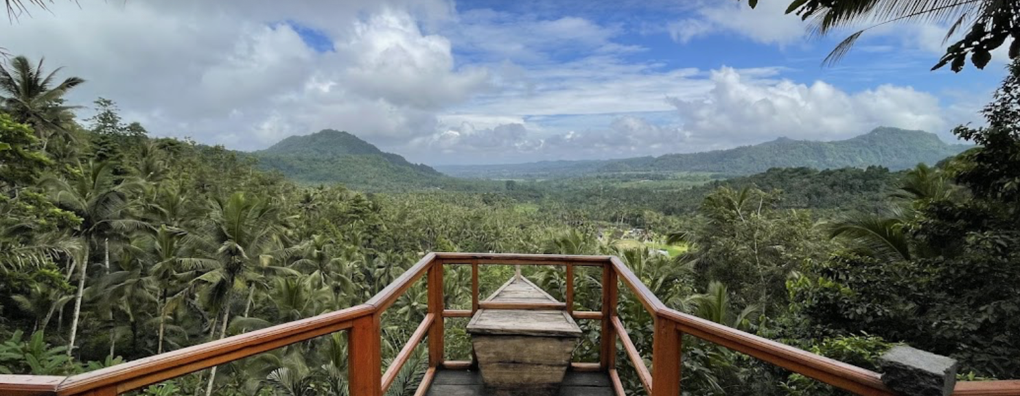 Sidemen rice fields and Mount Agung scenery Bali