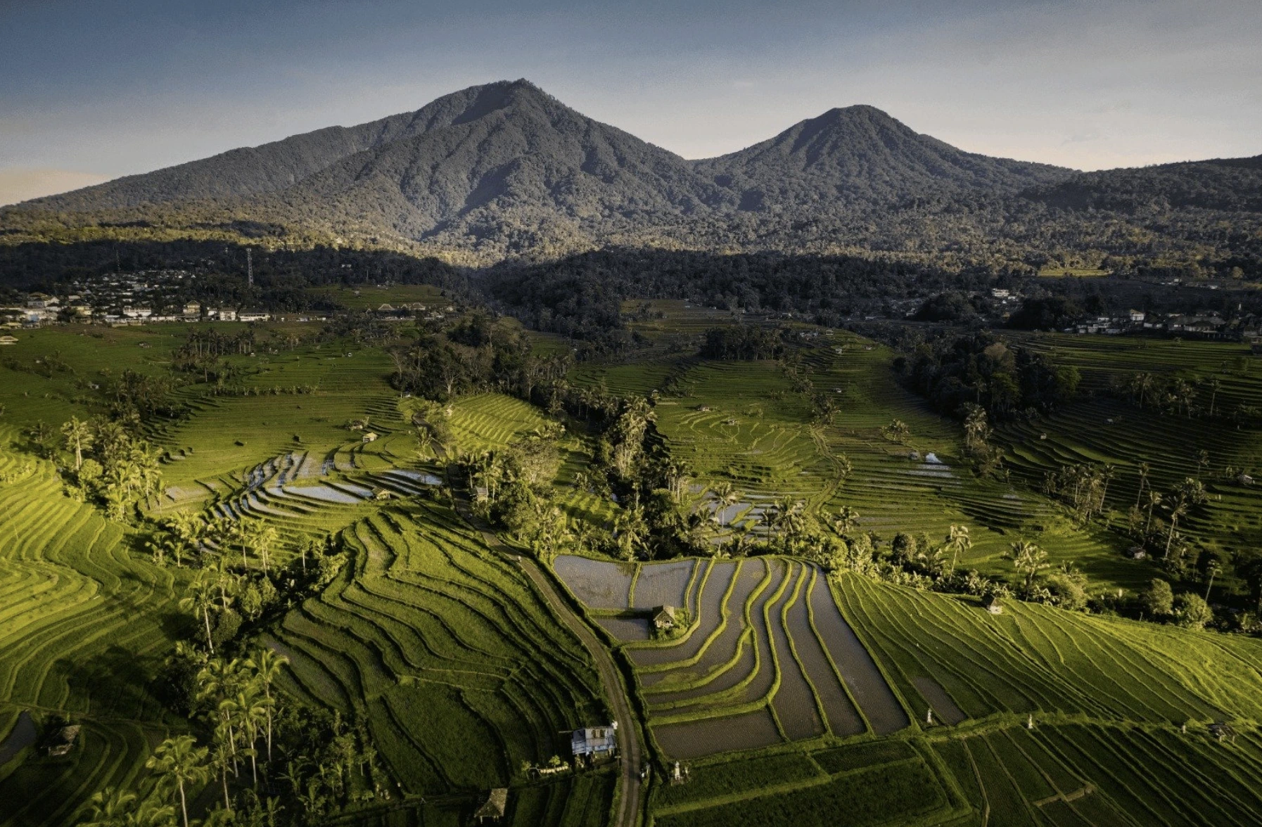 Sunrise over Jatiluwih Rice Terraces in Bali
