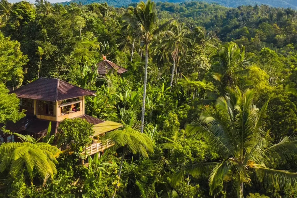 Sarinbuana Eco Lodge Bali