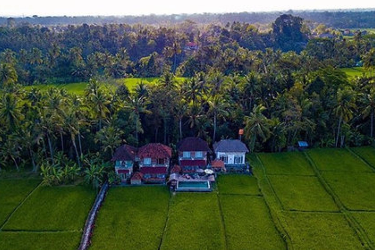 Firefly Retreat Bali yoga retreat among Ubud rice fields