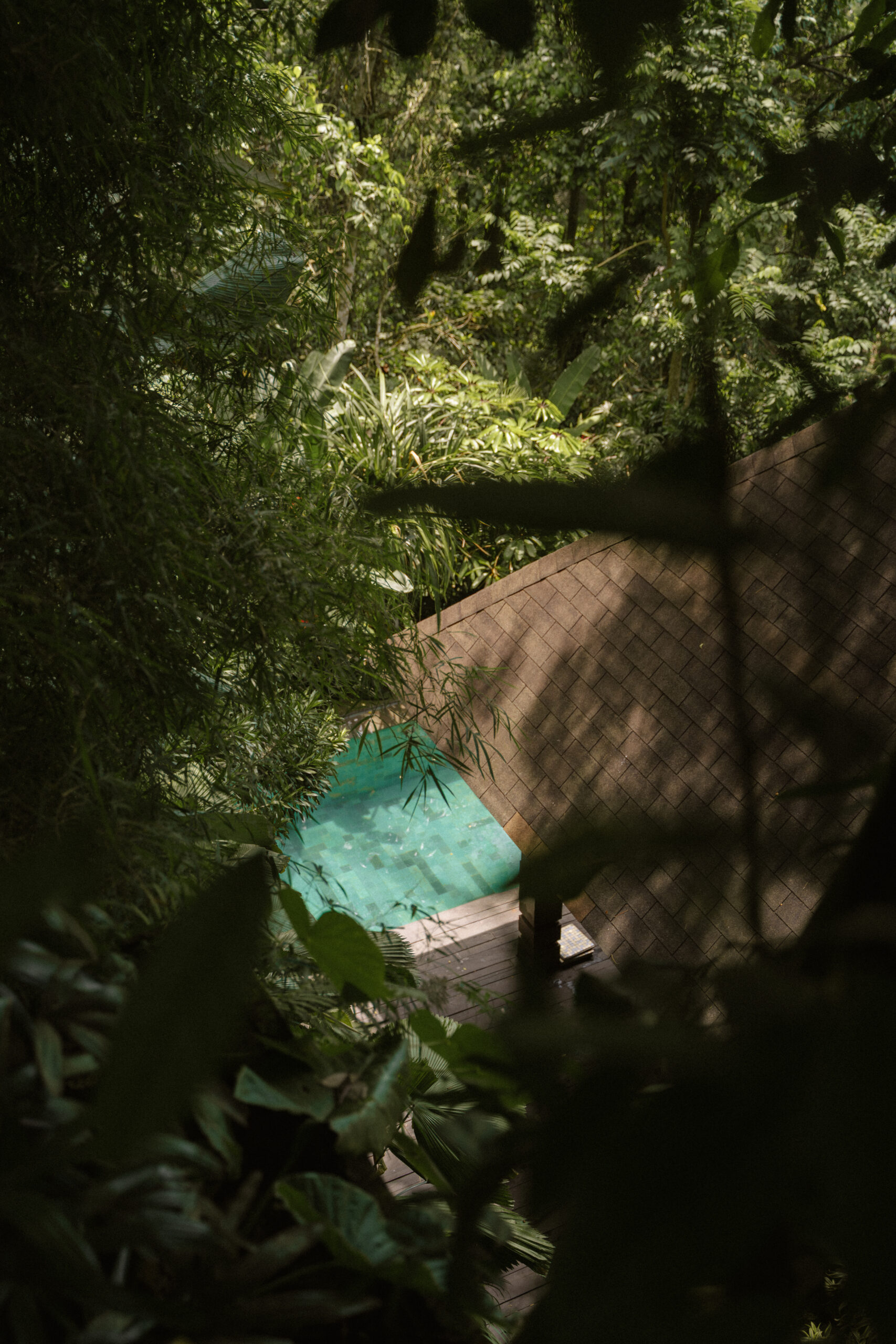 Harmony of Nature; A New Chapter in Ubud’s Natural Rhythm Unfolds This January