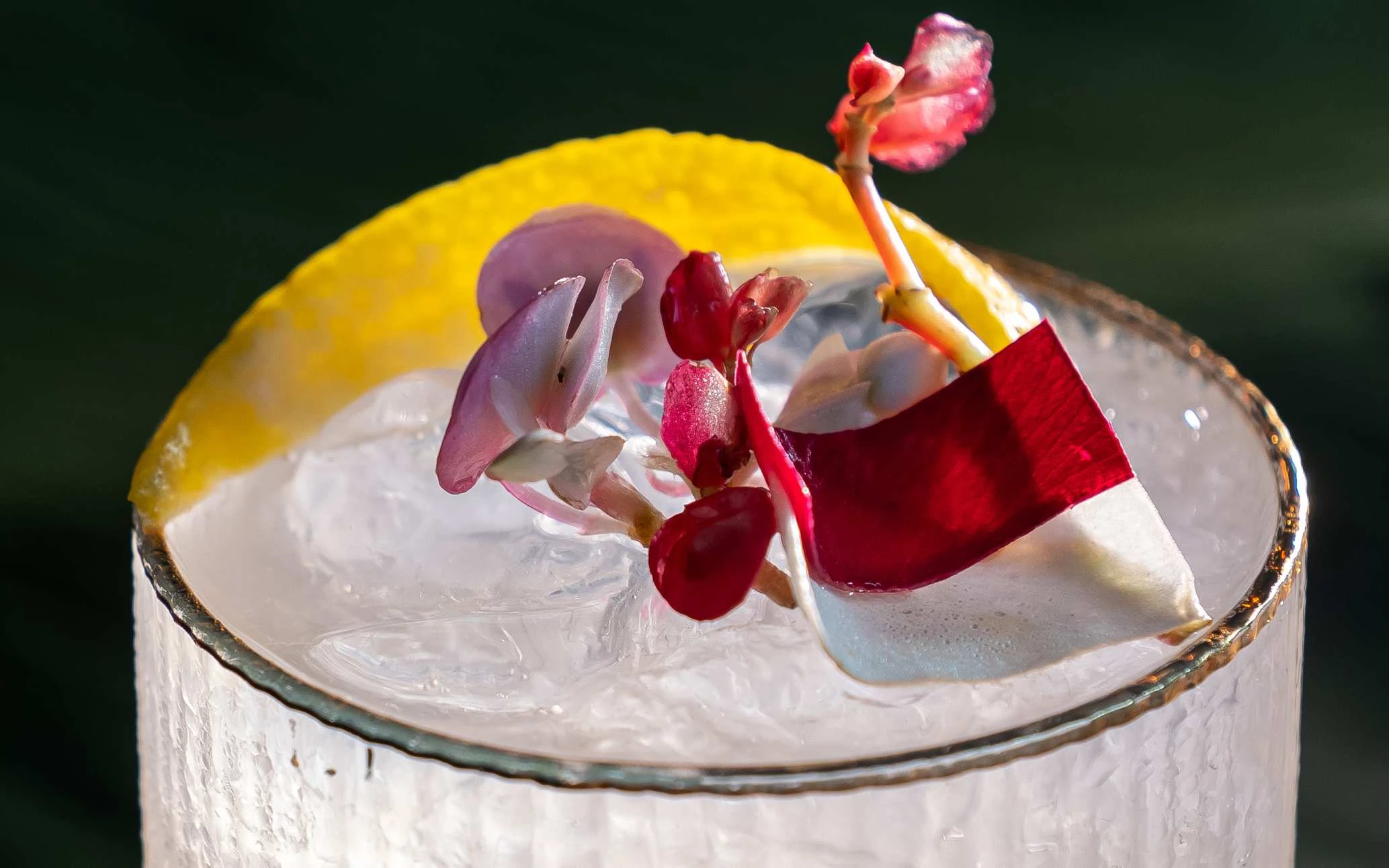 Freedom & Fusion: A Culinary Journey at Blue Karma Secrets