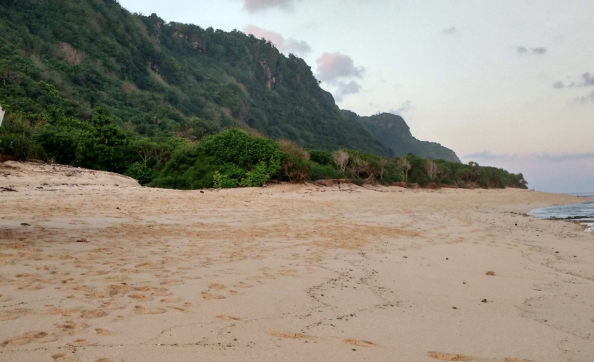Nyang Nyang Beach Uluwatu secluded coastline Bali