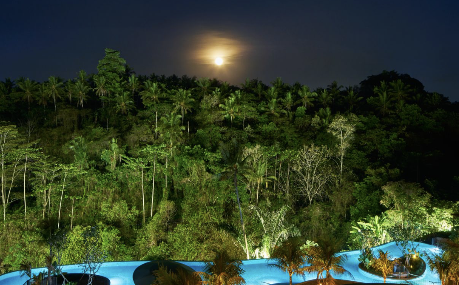 Westin Resort and Spa Ubud jungle infinity pool