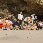 Jumeirah Bali Celebrates World Sea Turtle Day with Meaningful Oceanfront Release