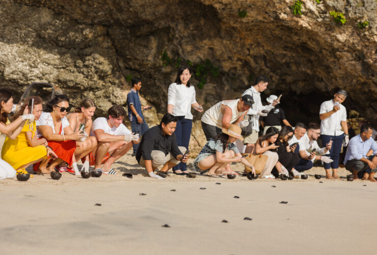 Jumeirah Bali Celebrates World Sea Turtle Day with Meaningful Oceanfront Release