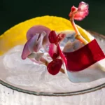 Freedom & Fusion: A Culinary Journey at Blue Karma Secrets