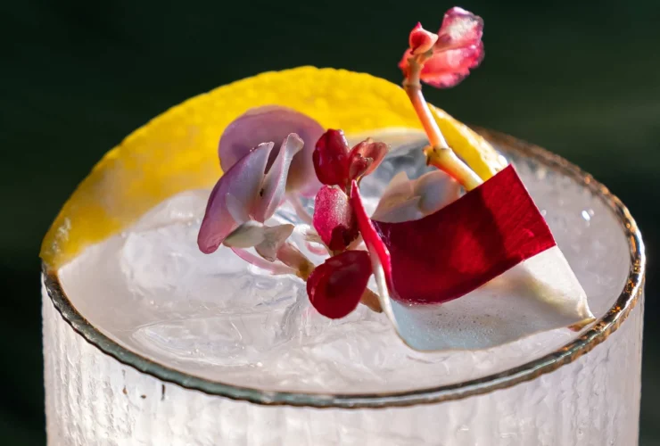 Freedom & Fusion: A Culinary Journey at Blue Karma Secrets